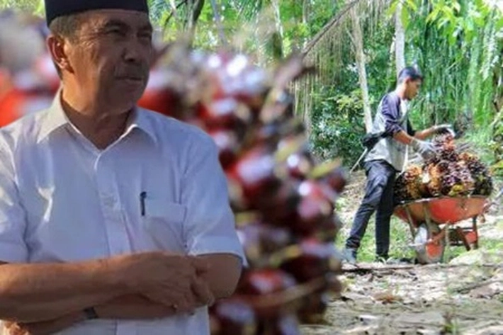 Gubernur Syamsuar Masih Khawatir Nasib Petani, 'yang belum Bergabung ke Organisasi'