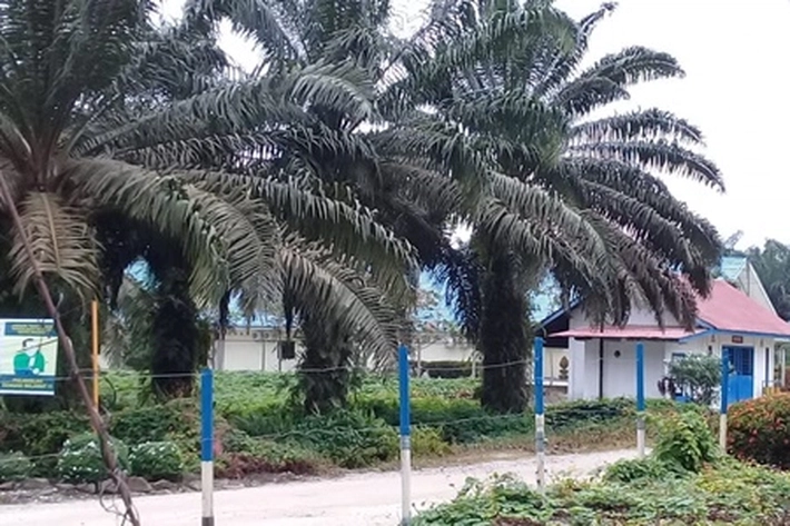 PT Adei Plantation Tak Salurkan Dana CSR ke Desa Telayap, Humas Budi Simanjuntak: 'Kita Utamakan pada Ring I'