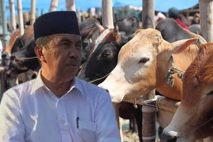 12 Unit Mobil Siaga Wabah PMK Dikerahkan, Gubri: Ini Cobaan dari Allah