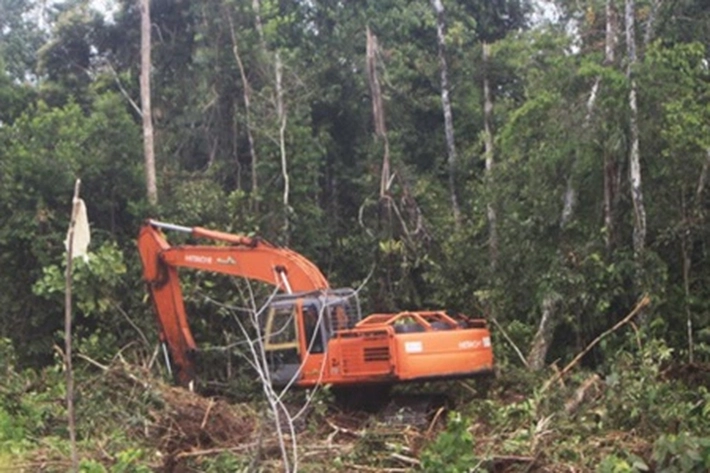 Tim DLHK Riau Amankan Alat Berat di Wilayah KPH Inhu, 'Saat Operasi Pengamanan Perambah Hutan'