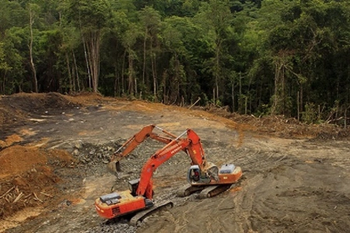 Kekuatan Excavator Berhasil 'Luluh Lantakkan Hutan TNBT', Gubri: 'Tangkap Otak Pelaku Perambah' 