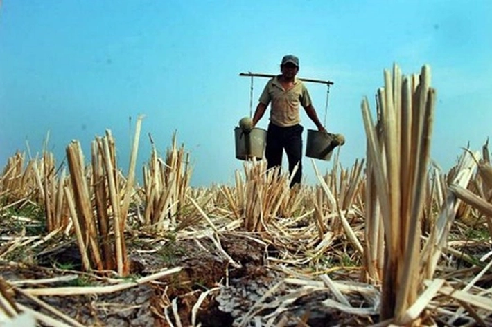 BPBD Riau Ingatkan Masyarakat Musim Kemarau, 'Perlu Tingkatkan Kewaspadaan Potensi Karhutla'