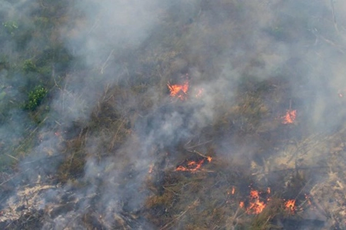 Suhu di Riau Capai 34 Derajat Celcius, 'Titik Hotspot Bermunculan jadi Membahayakan'