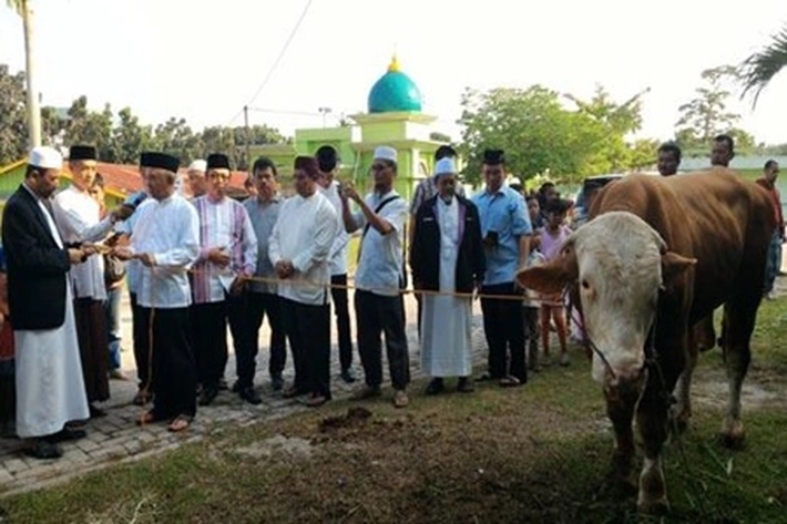 Masjid Raya An Nur Riau Sembelih 15 Ekor Hewan Kurban di Idul Adha