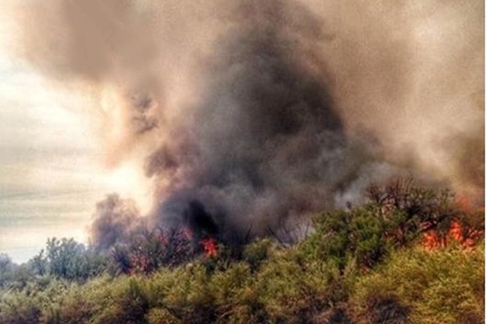Cuaca Capai 34 Derajat Celsius, 'Buat Titik Hotspot Mulai Membara di Riau'