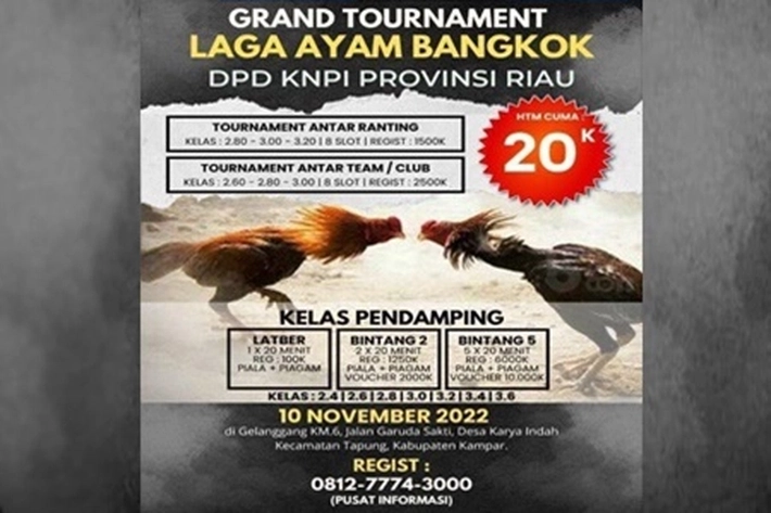 Heboh Tournament Laga Ayam Bangkok, KNPI: 'Perintah Ketum, Segera Kami Batalkan'