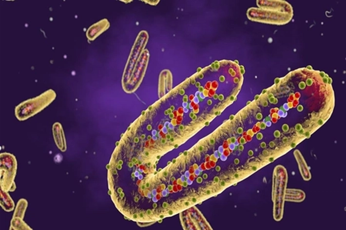Virus Marburg yang Sangat Menular-Mematikan, 'Memaksa Pasien Menyudahi Hidup Lebih Cepat'