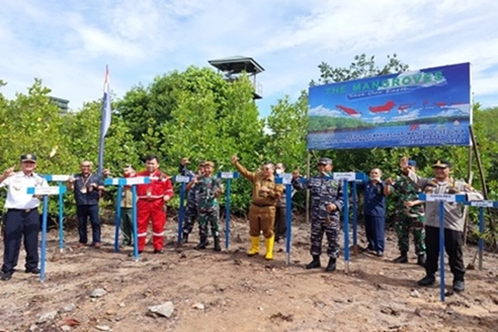 TNI AL Gelar Aksi Tanam 7.250 Bibit Mangrove di Kawasan Pesisir Pantai Dumai
