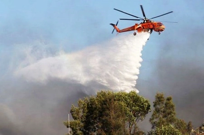 Lahan Dekat Hutan Lindung Terbakar, BPBD Riau: 'Kita Kesulitan Air, Terpaksa Kerahkan Heli Water Boombing'