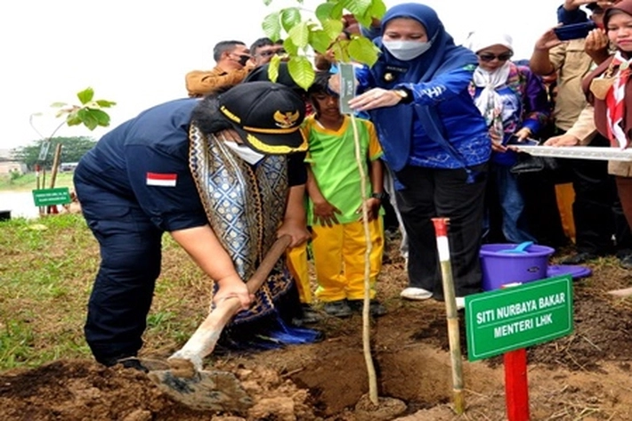 Menteri LHK Buat Gebrakan di Inhu, 'Tanam Pohon dan Dukung Pemberdayaan Suku Melayu Tua'