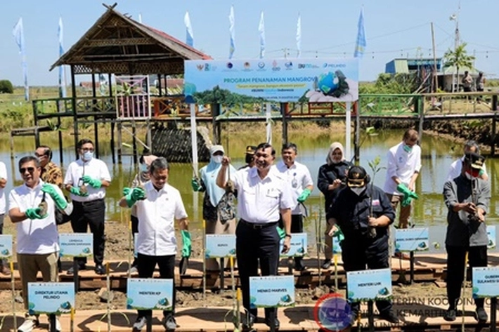Tiga Menteri Menanam Mangrove, Luhut: Pentingnya Rehabilitasi untuk Masa Depan