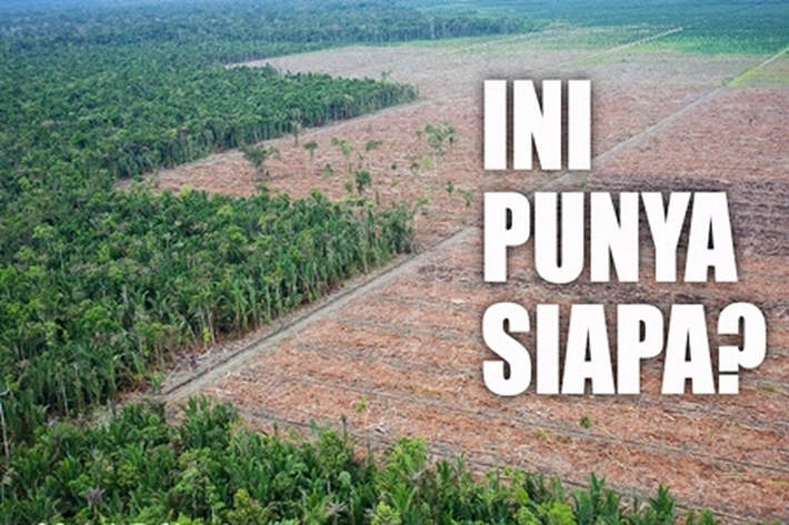 Perkebunan Sawit Besar Masih Bermasalah, KNPI: 'Kita Dorong Pemerintah Audit Data HGU'