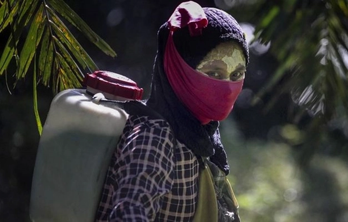 Kisah Warga Desa Jaga Hutan demi Lingkungan Sehat 'Sudah Sirna', 'karena TPP Buat Angan-angan Kosong, Apa yang Terjadi?'