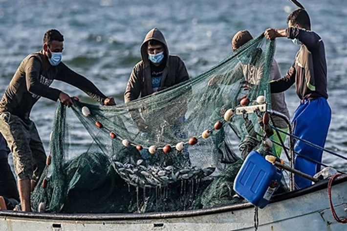 Pulau Rupat 'Jendela Dunia Luar' yang Pelik, Cerita Nelayan: Lebih Enak Hidup di Malaysia