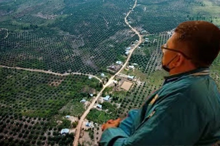 Kondisi TNTN Tambah Mengerikan, KNPI: 'Pemerintah Harus Bertanggung Jawab, karena Hutan Sudah Tergerus Ladang Sawit'