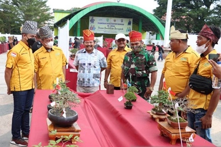 Menyambut Dirgahayu TNI Ke-77, Inhu Buka Bazar dan Pameran Bonsai
