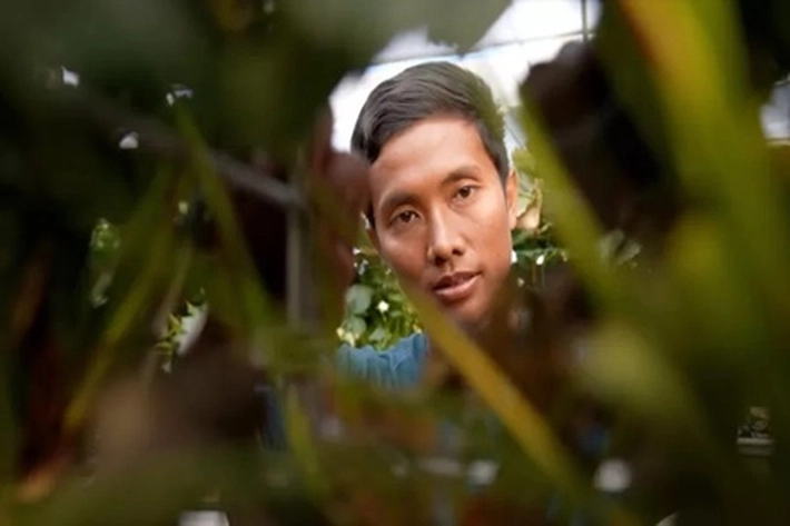 Para Pekerja Indonesia di Perkebunan Stroberi Dipuji, 'Dinilai Bisa jadi Contoh juga dapat Dihandalkan'