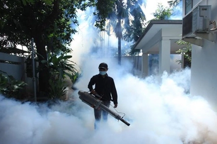 Jumlah Kasus DBD Sepanjang 2022 Membengkak, 'Sudah Menyebar di 15 Wilayah Kecamatan'