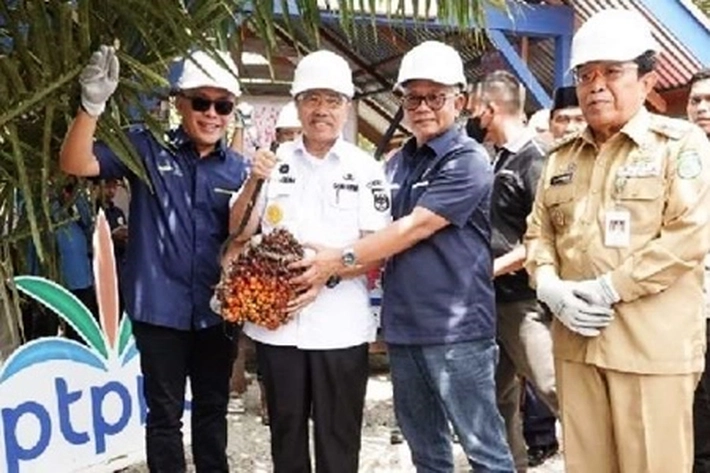 Gubri Himbau Petani Segera Replanting Kebun Sawit dengan Bibit Unggul, 'Ditengah Belum Terkendalinya Harga Pupuk'