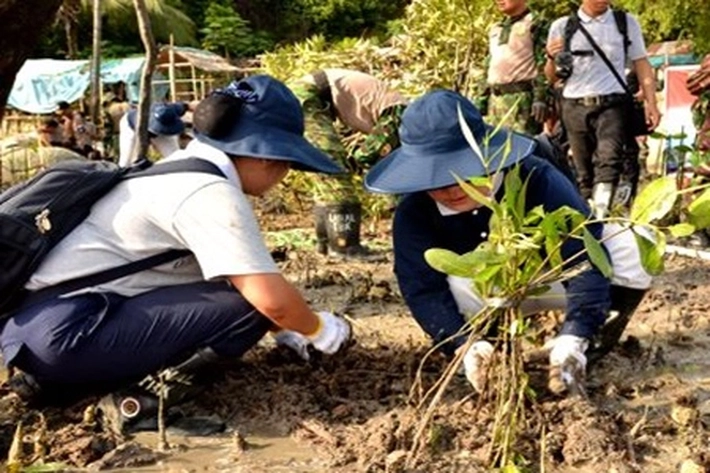 Pantai Desa Teluk Papal Ditanami Mangrove, 'untuk Cegah Erosi dan Kerusakan Lingkungan'
