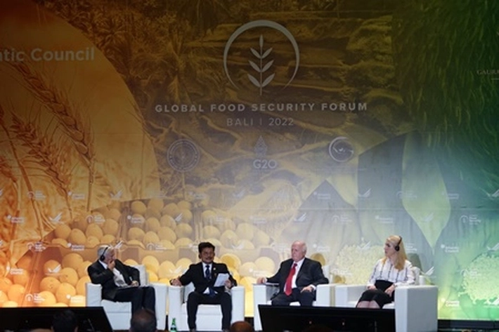 Mentan Ajak Kuatkan Ketahanan Pangan Bersama Negara G20, 'untuk Menghadapi Krisis Global'