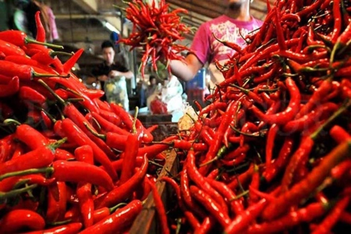 Harga Cabai Merah Merangkak Naik, 'yang Sempat Terpuruk di Rp35 Ribu per Kg'
