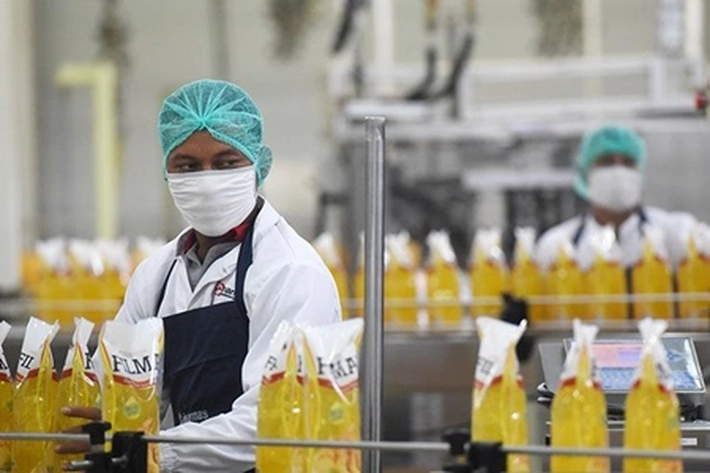 Minyak Kelapa Sawit Indonesia Diperkirakan Masih Mendominasi di 2023