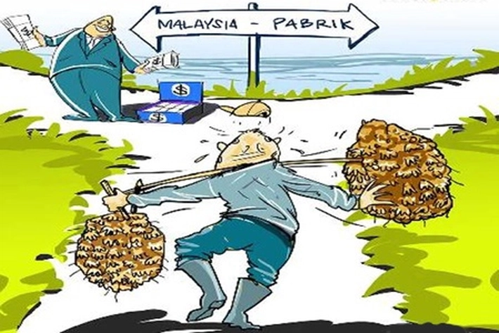 Kejati Riau Mulai Awasi Penetapan Harga TBS, 'agar Perusahaan Tak Manipulasi Data'