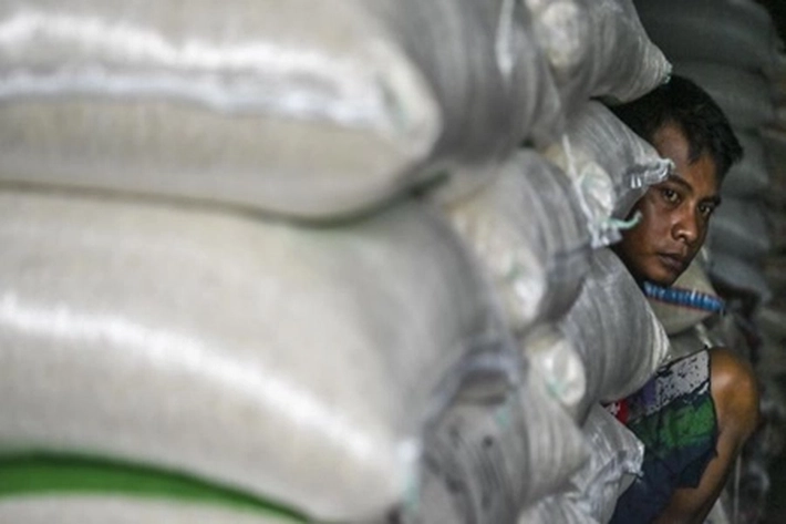 Impor Beras 200.000 Ton Dinilai Tepat Oleh Pelaku Pasar, 'Tapi Kacau Saat Penyerapan Dalam Negeri'
