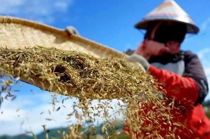 Pemprov Riau Bentuk Posko Satgas Ketahanan Pangan, 'untuk Turunkan Inflasi'