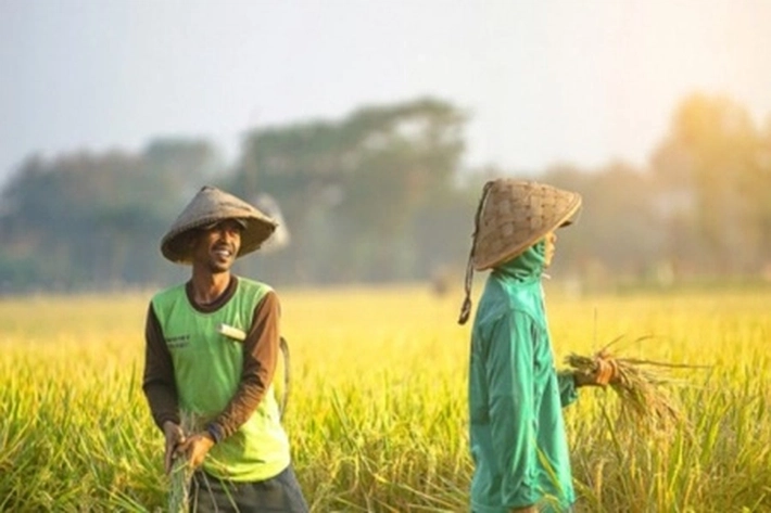 Kemenkeu Gelontorkan Rp95 Triliun untuk Ketahanan Pangan 2023, 'demi Ketersediaan, Akses dan Kualitas Pangan'