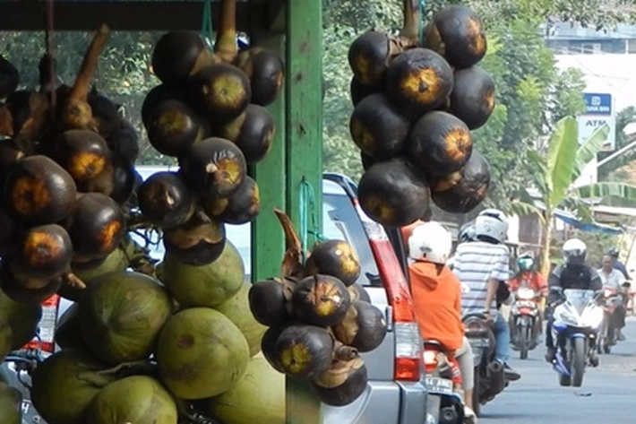 Pedagang Ramai-ramai Jual Buah Lontar, 'yang Memiliki Banyak Manfaat Luar Biasa'