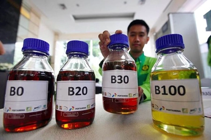 Pemerintah Mulai Implementasikan Biodiesel B35, Apkasindo: Semoga Bisa Dongkrak Harga TBS Petani di Riau