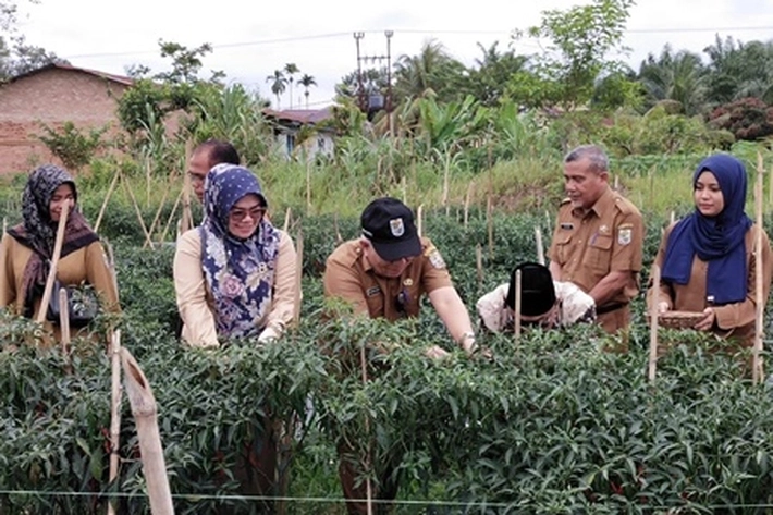 Pemkab Pelalawan Bantu Poktan dengan Herbisida, 'untuk Meningkatkan Hasil Pangan'