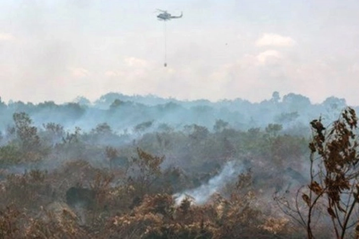 Riau Mulai Dilanda Panas yang Terik, 'untuk Antisipasi Karhutla juga Usulkan Bantuan Helikopter'