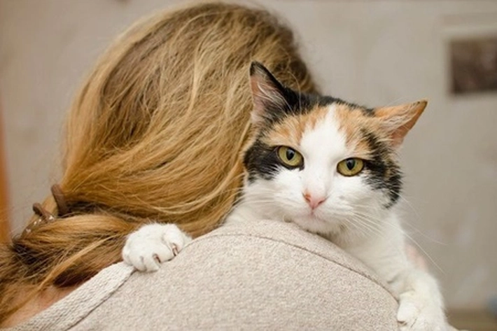Jamur Misterius yang Menular Tidak Banyak Diketahui, 'Bisa Menyebabkan Luka Kulit pada Kucing dan Manusia'