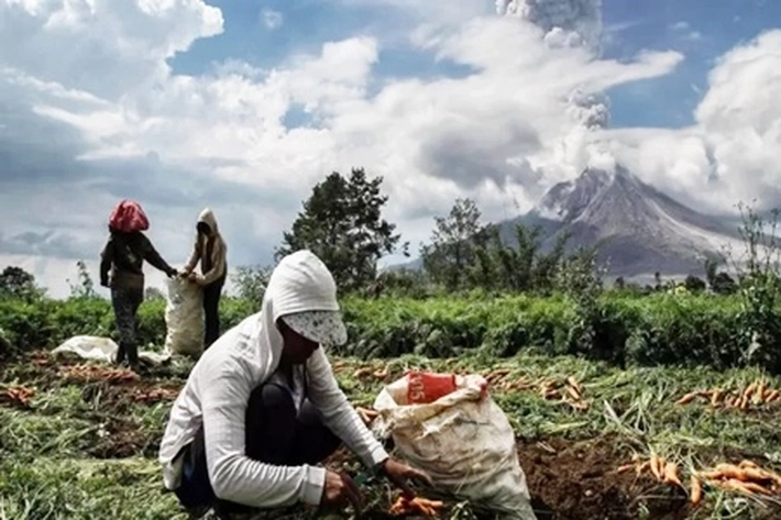  Gunung Berapi Keluarkan Awan Panas, 'yang Patut Direkomendasikan Agar Masyarakat Segera Mengungsi'