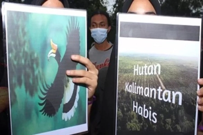 Walhi Nilai Proyek 'Lumbung Pangan' di Hutan Lindung Ancam Kebakaran, 'juga akan Terjadi Bencana Konflik Masyarakat Adat'