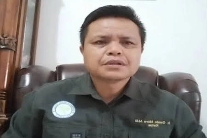 Perambahan Hutan Terus Berlanjut, SALAMBA: 'Penegakan Hukum Masih Kurang Tegas'