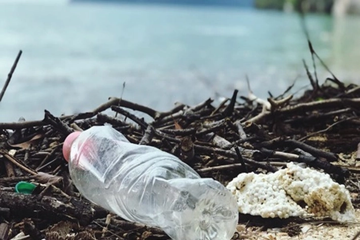 Kandungan Oksigen di Laut Makin Tipis, Peneliti: Akibat Kenaikan Suhu dan Sampah Kompos