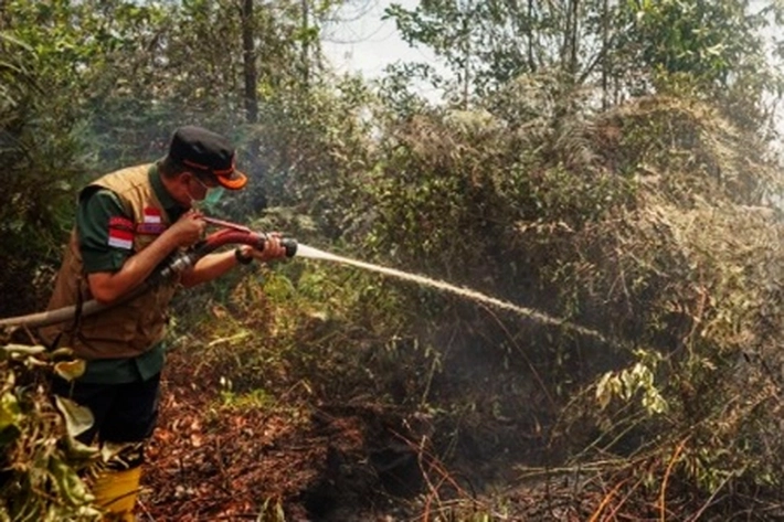 Gubernur Syamsuar Tinjau Lansung Karhutla di Dumai, 'juga Ikut Padamkan Api dan Salat Istisqa'
