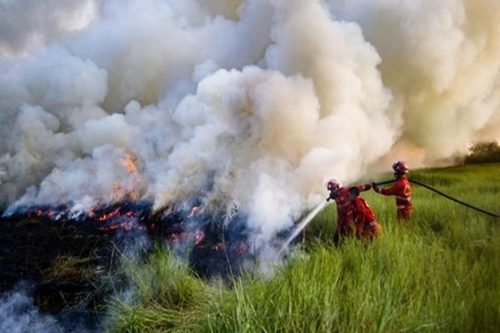 Karhutla di Dumai-Bengkalis Timbulkan Kabut Asap Mengerikan Tahun ini, 'juga Dikhawatirkan Lebih Buruk Seperti Tahun 2015 dan 2019'