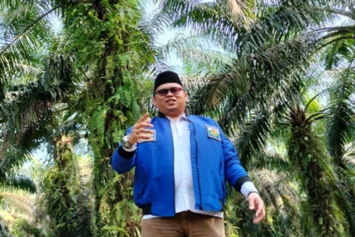Soroti Kebun Sawit di TNTN Ormas jadi Diteror, KNPI Riau: 'Kawasan Hutan Terguncang Hebat yang Perlu Perhatian Serius dari Pemerintah'