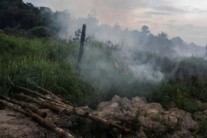 Astaga, Titik Panas di Pulau Sumatera Turun Drastis, 'untuk di Riau Diperkirakan Sudah Nihil'