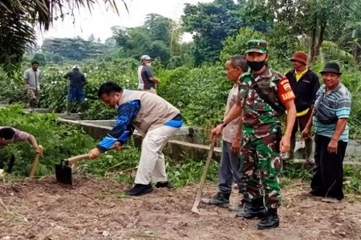 Sejumlah Daerah Alami Karhutla Akibat Cuaca Panas, BPBD Pekanbaru: Galakkan Gotong royong jaga Lingkungan dan Tidak Bakar Lahan