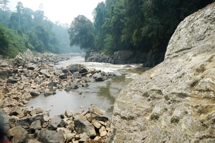 Hutan TNBT Simpan Harta Karun Berupa Uranium untuk Bahan Nuklir, 'Tapi Efeknya Bisa Memorak-Porandakan Isi Jagad Alam di Inhu'