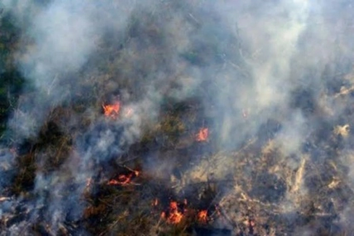 BPBD 'Kecelik' Lihat Hotspot Timbul Tenggelam, 'jadi Gempur Karhutla dengan 2 Helikopter Water Bombing'