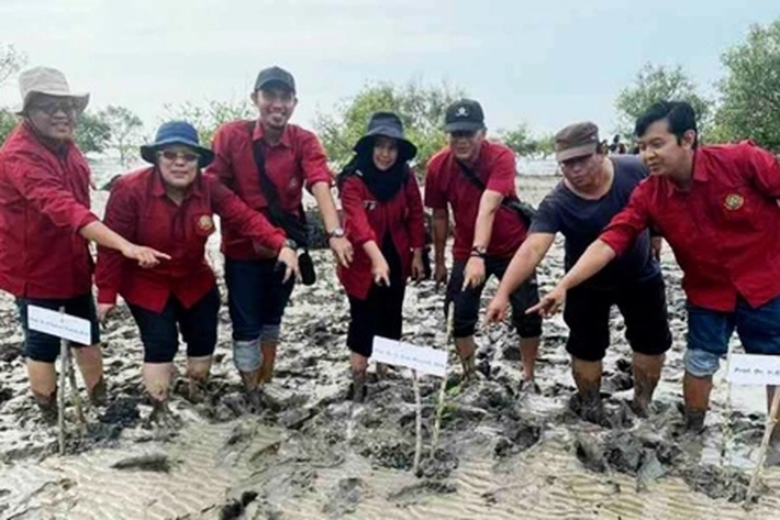 Prof Aras Mulyadi Ajak Mahasiswa S3 Ilmu Lingkungan Tanam Mangrove, 'untuk Menyelamatkan Bibir Pantai'