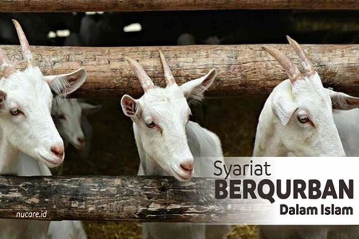 Dalam Waktu Dekat Perayaan Idul Adha akan Berlangsung, Juga Melakukan Ibadah Kurban