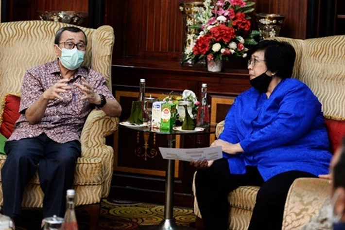 MenLHK Sebut Penerimaan dari Denda Kebun Sawit dalam Kawasan Hutan Sebesar Rp 50 Triliun, Bagaimana Penguasaan Hutan Ilegal di Riau?